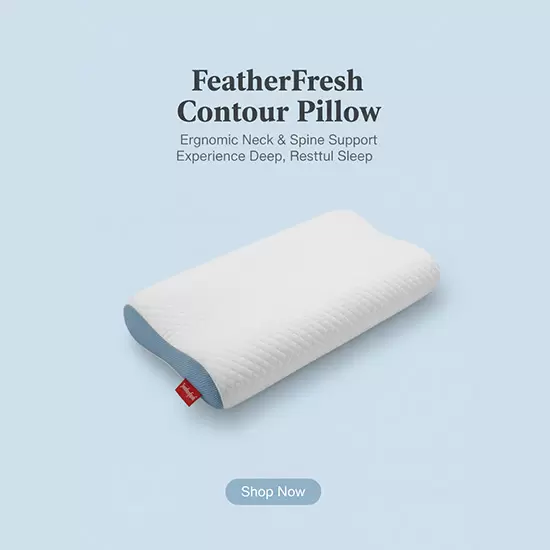 Featherfresh Contour Memory Foam Pillow